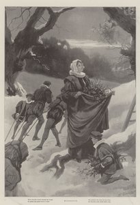 Mistelten